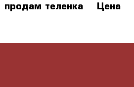продам теленка  › Цена ­ 15 000 - Башкортостан респ., Кигинский р-н, Абзай с. Животные и растения » Другие животные   